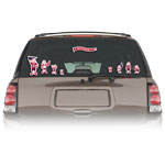 Automotive Accessories