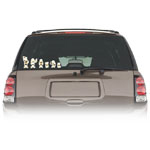 Automotive Accessories