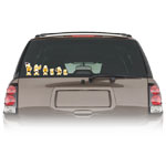 Automotive Accessories
