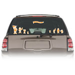 Automotive Accessories