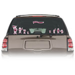 Automotive Accessories