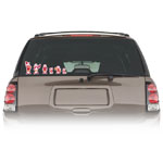Automotive Accessories