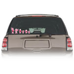 Automotive Accessories