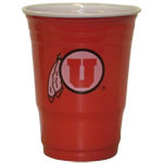 Tailgating Accessories