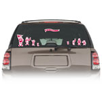 Automotive Accessories