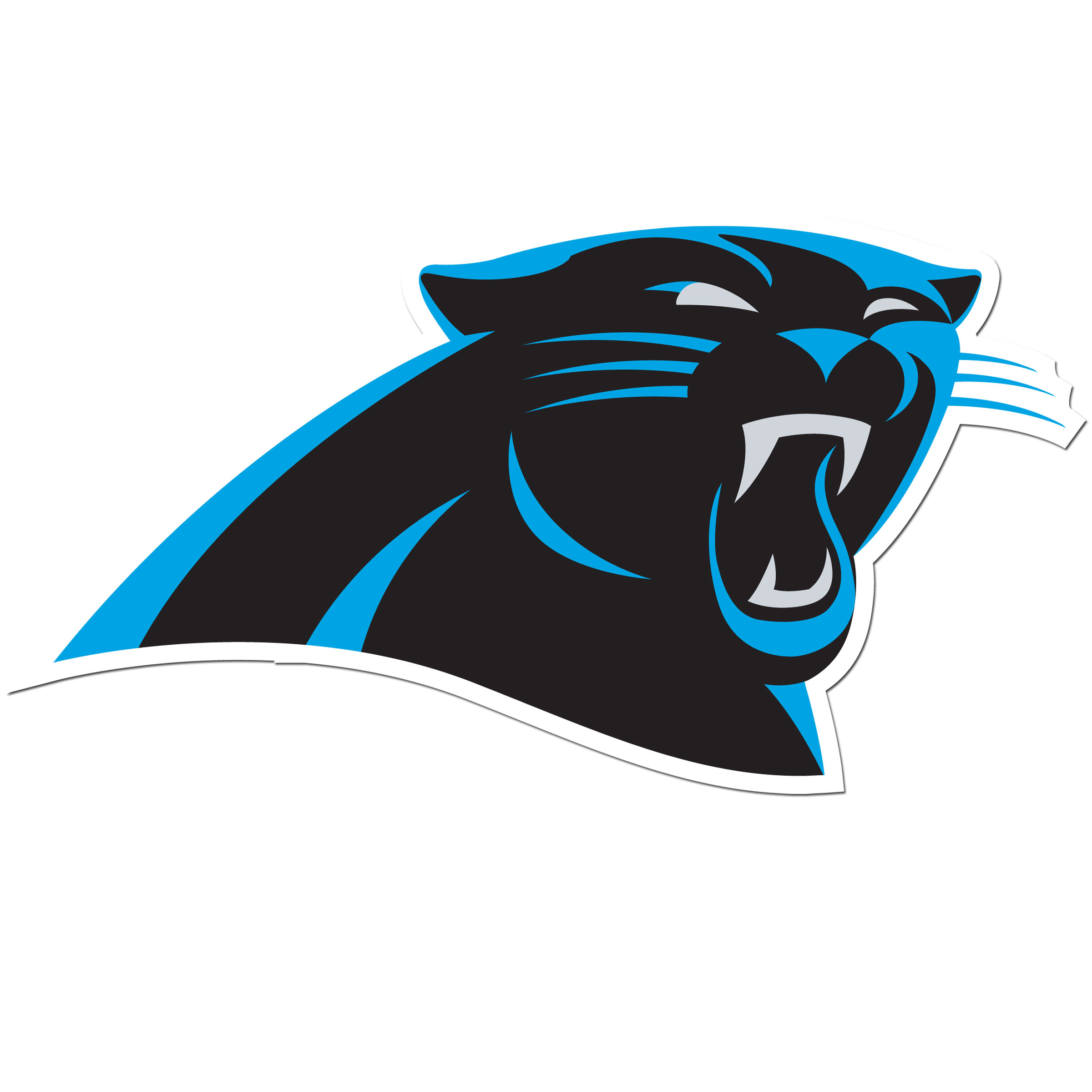 Carolina Panthers 8 inch Auto Decal    