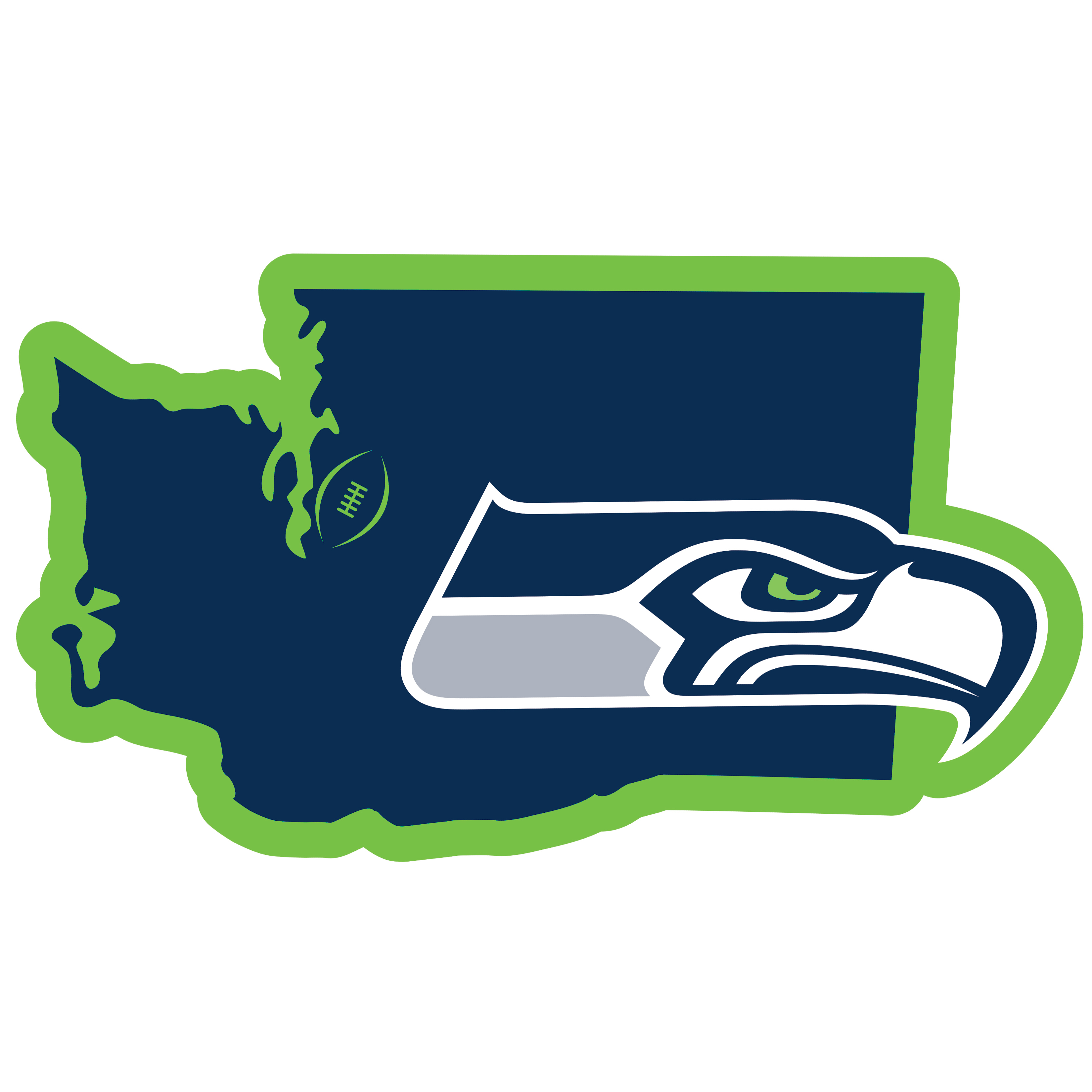 Seattle Seahawks Home State 11 Inch Magnet    